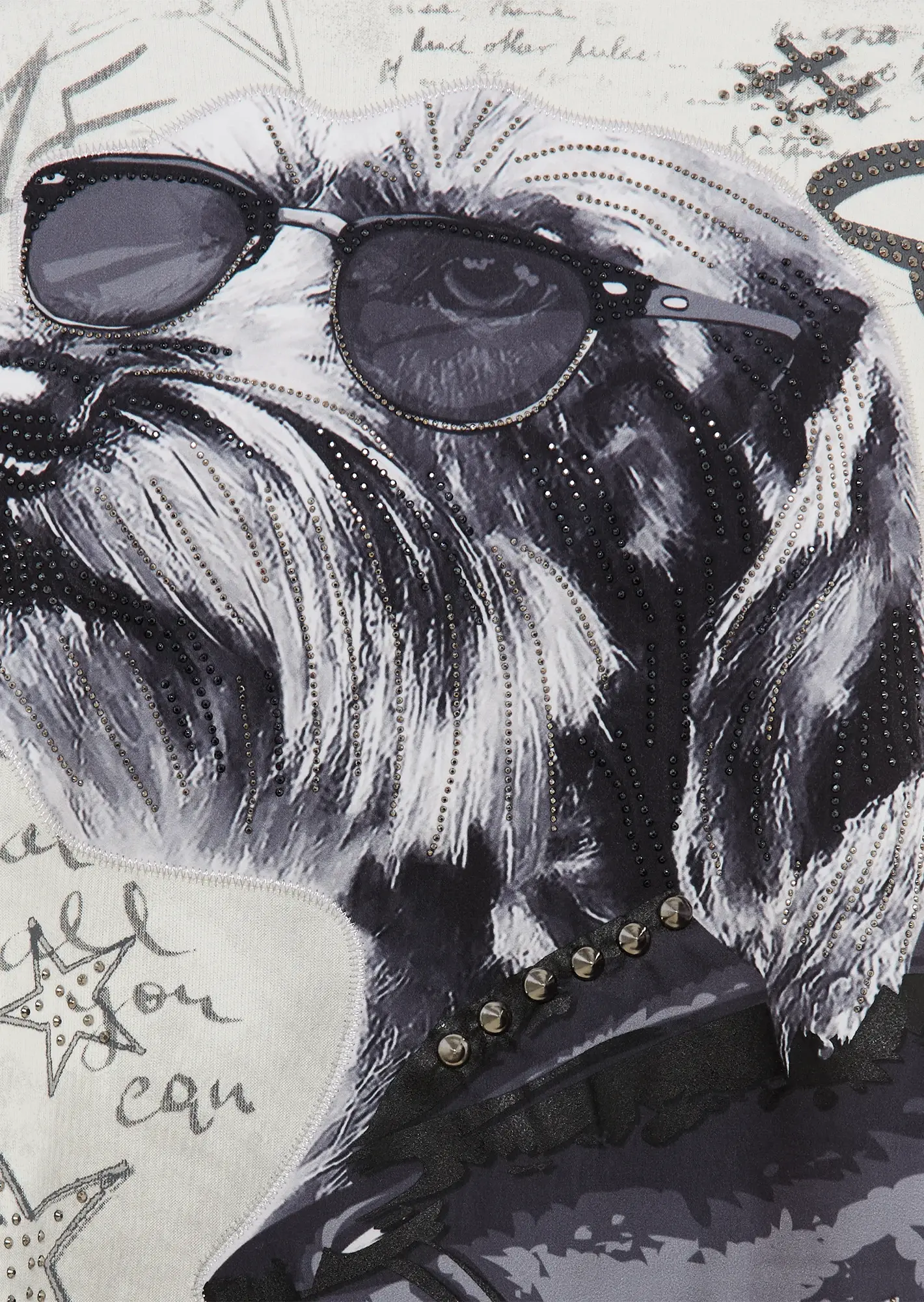 Sweatpullover 'Cool Dog',