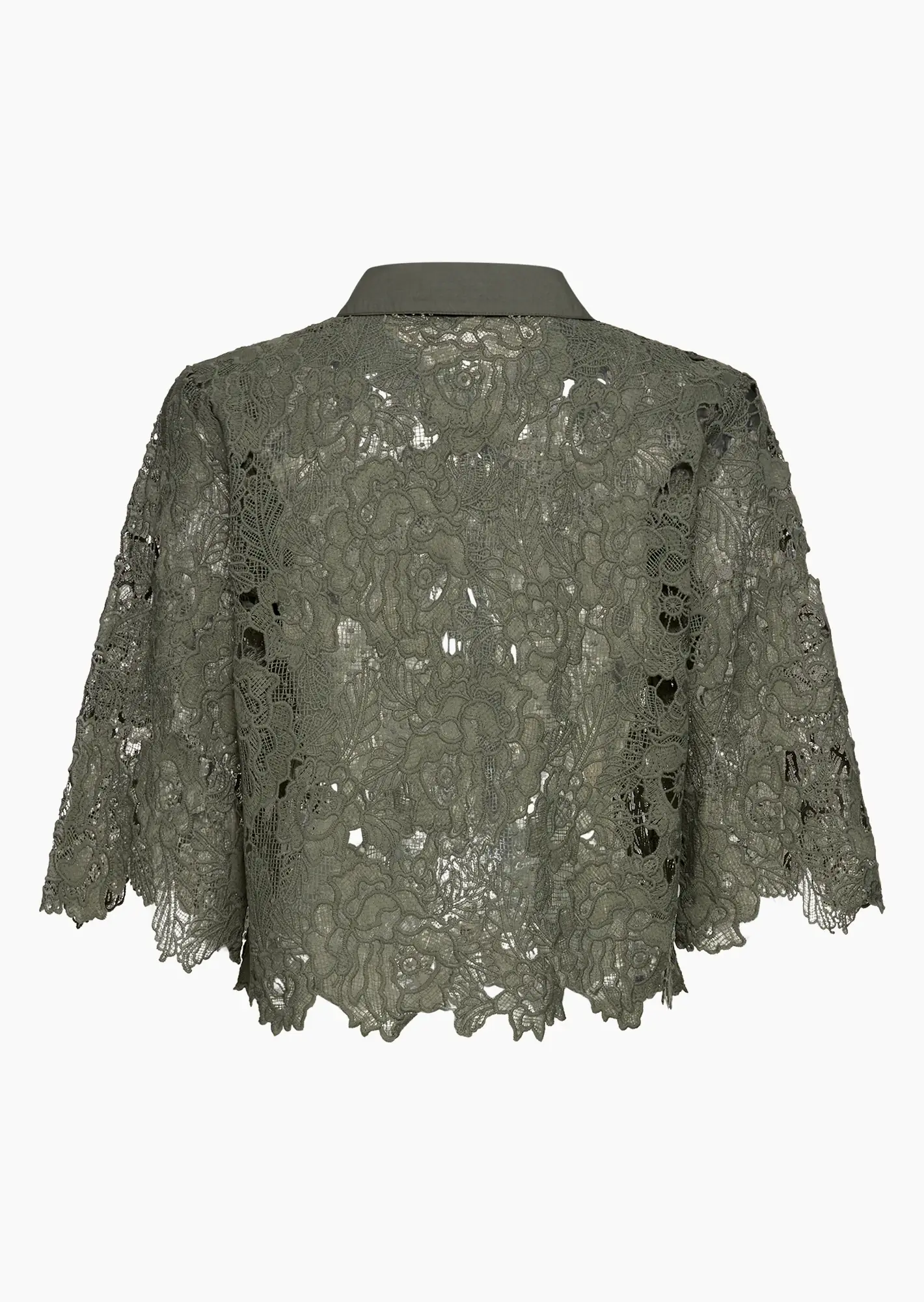 Bluse im Alloverspitzendesign, khaki