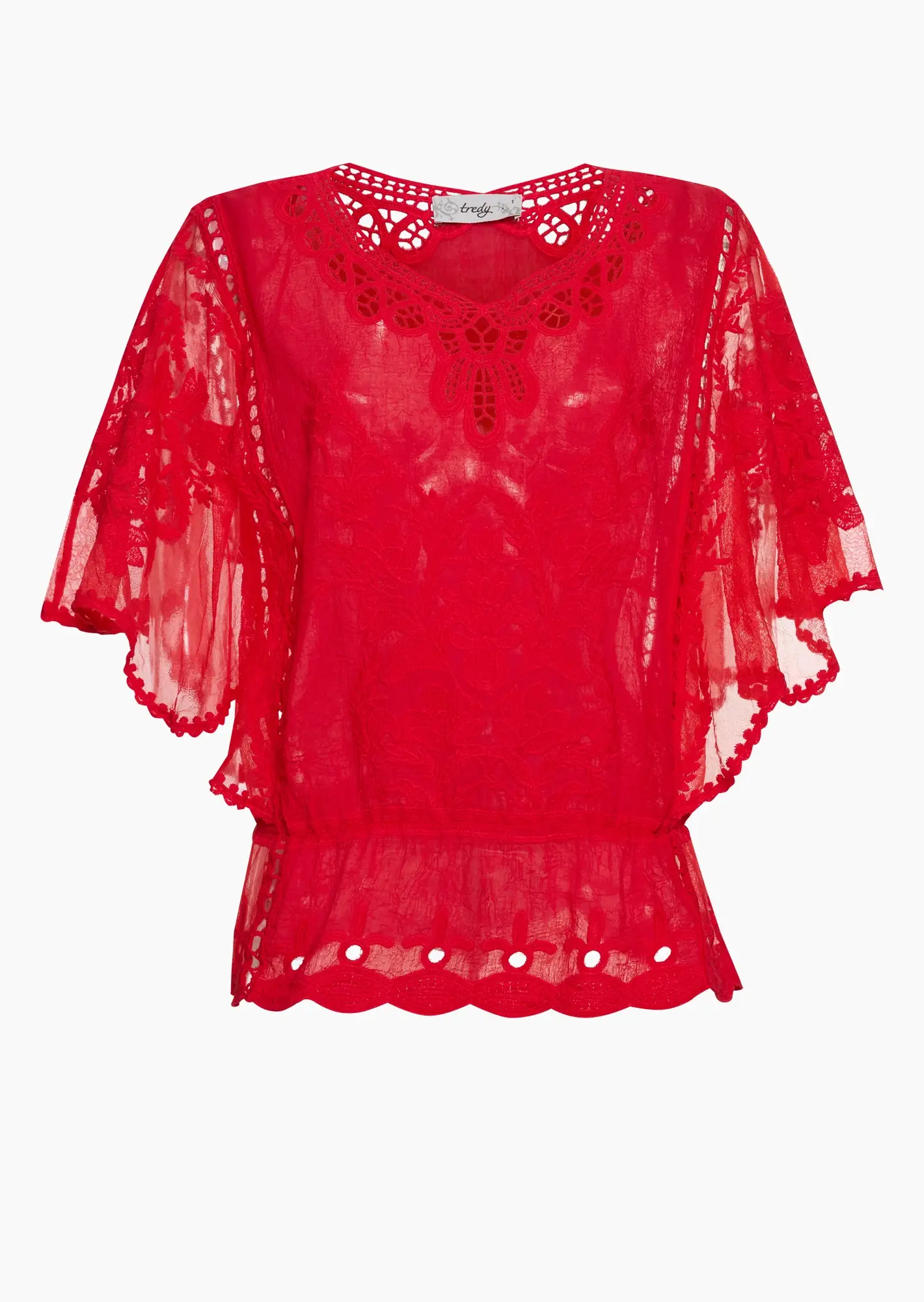 transparente Bluse mit Stickerei, tredyrot